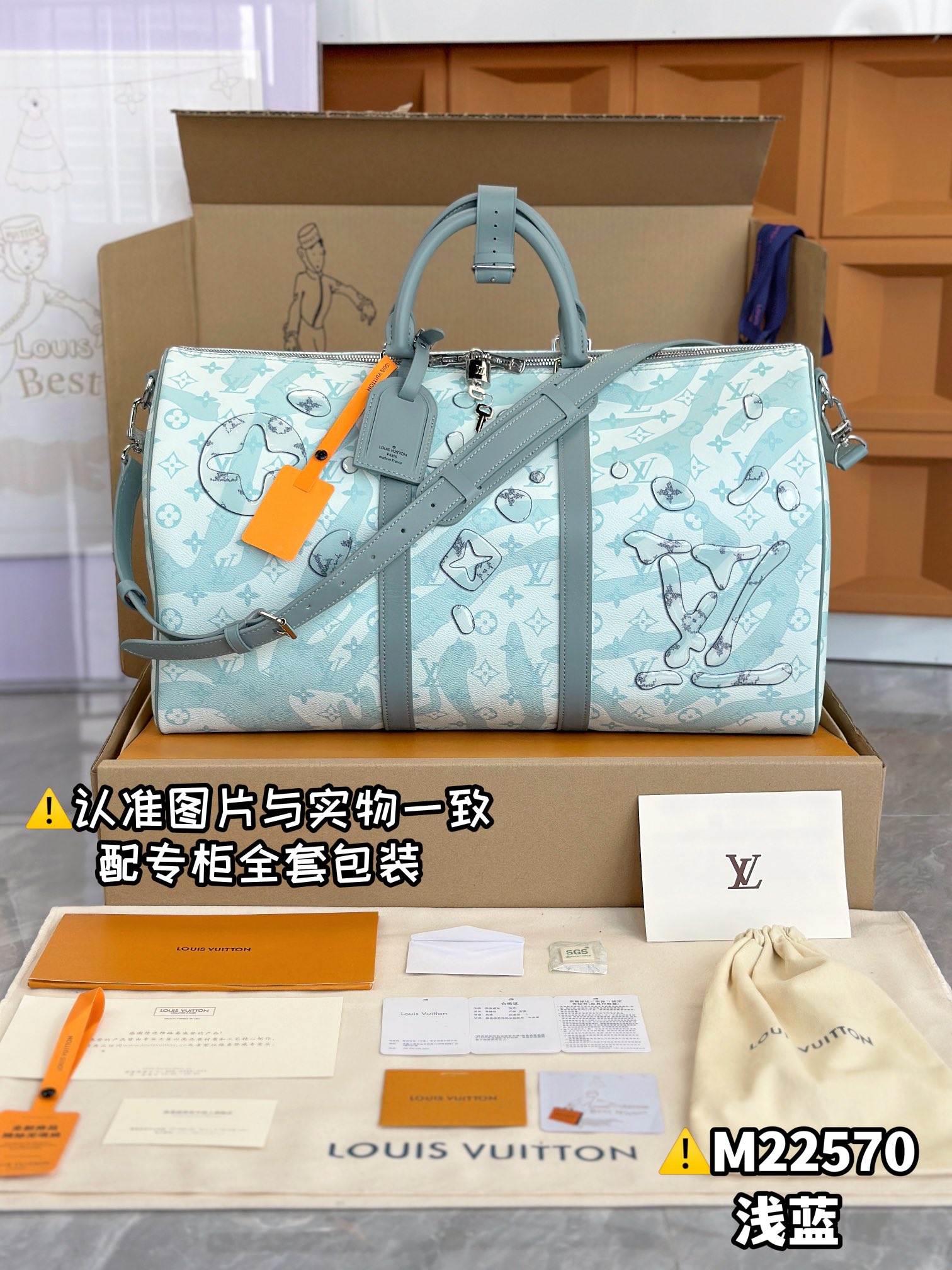 LV Travel Bags